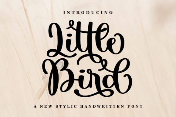 Little Bird: A Script Font for Modern Design
