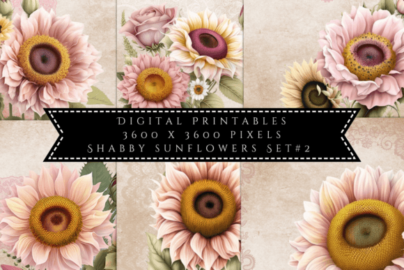 Shabby Sunflowers Illustrations Set 2: Vintage Charm for Modern Design