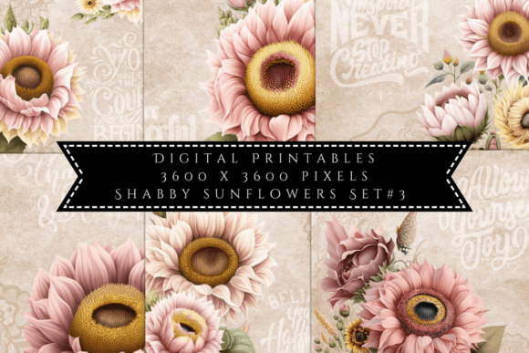 Shabby Sunflowers Set 3: Elevate Your Visual Design